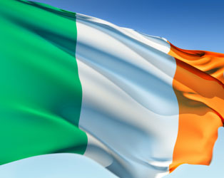 Limerick Flag